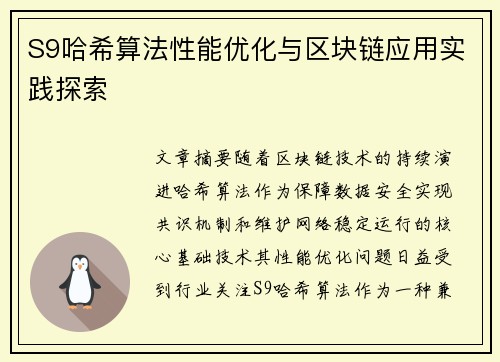 S9哈希算法性能优化与区块链应用实践探索
